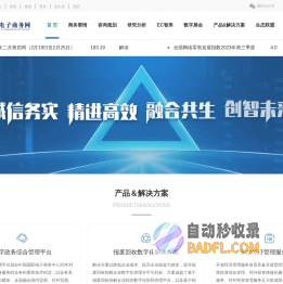 首页-中国国际电子商务网