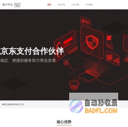 京东支付-网银在线