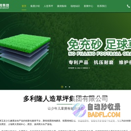 多利隆人造草坪集团有限公司