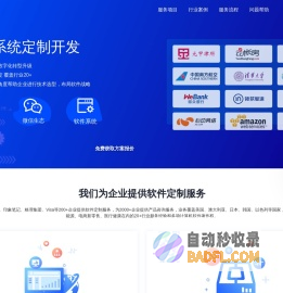 软件定制开发公司-