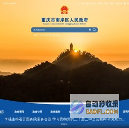 重庆市南岸区人民政府网