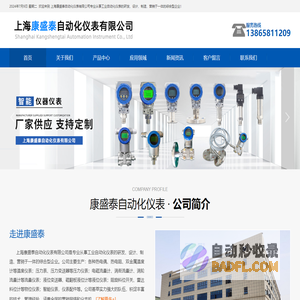 上海康盛泰自动化仪表有限公司