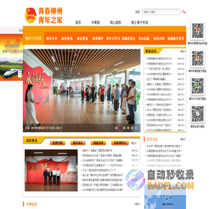 广西柳州市共青团