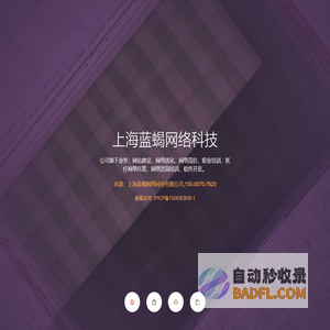 上海蓝蝎网络科技有限公司_专注医疗网络托管,微信运营托管，团队打造！
