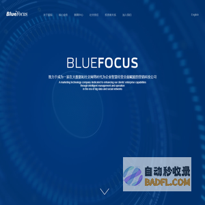 蓝标-蓝色光标集团-BlueFocus