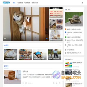 KI宠物网-宠物百科知识网站