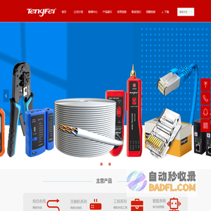 深圳市腾飞之翼科技有限公司