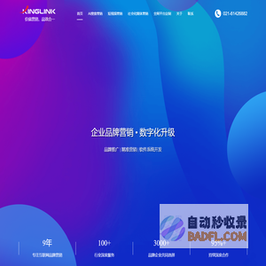 助力企业品牌营销数字化升级_上海衿领信息科技KINGLINK
