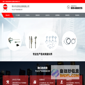 常州市武翔仪表有限公司