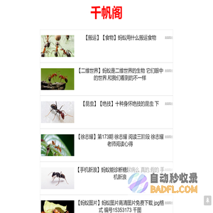 千帆阁 - 开启创业新征程