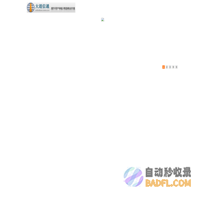 大道信通 - 智慧便民与决策