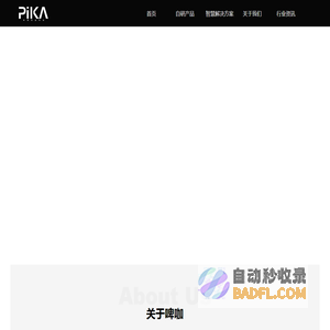 北京啤咖智慧科技有限公司企业官网