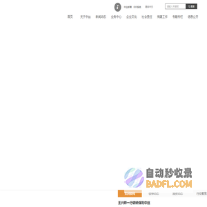中国中丝集团有限公司