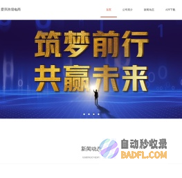 爱萍跨境电商