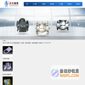 铸造阀门模具-浇铸失蜡模具-温州市永兴模具厂