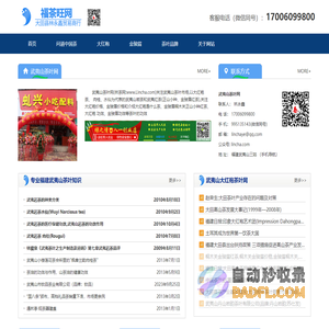 林茶网 - 武夷山茶叶网 - 武夷岩茶大红袍|正山小种红茶金骏眉Lincha.com