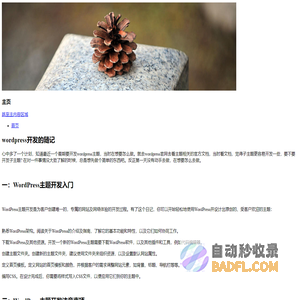 wordpress开发的随记