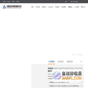 中国铝业集团有限公司