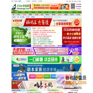 中信网-信鸽信息网