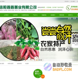 河南红薯苗,信阳红薯苗,信阳种苗,信阳红薯种|信阳鑫鑫薯业有限公司