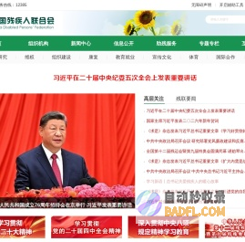 中国残疾人联合会