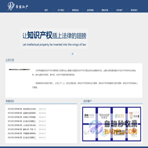 帝维知识产权官网