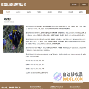 首页-重庆凤娇网络有限公司