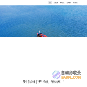 天牛供应链 - 全球跨境电商物流平台