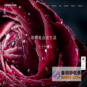 FLŌWERPLUS 花加(花+)鲜花订阅,包月鲜花-用鲜花点亮生活,网上订花【花加】