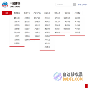中国庆华能源集团