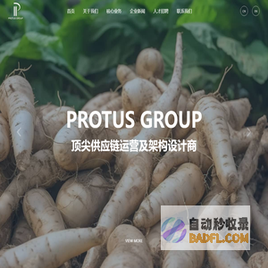 普路集团_Protus holding
