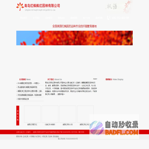 美国红枫-北美红栎-红点红枫-红橡树苗木繁育基地_青岛红枫枫红园林