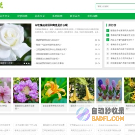 多肉植物_盆景花卉_观赏植物大全盆栽-花木说