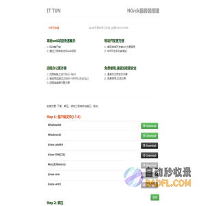 ngrok国内服务器 | ITTUN