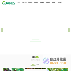 山东冠绿正规授权车厘子种苗供应商