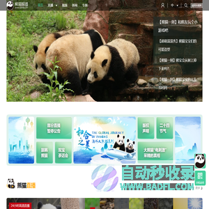 熊猫频道_央视网