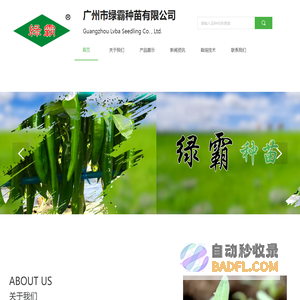 阿米检测技术有限公司