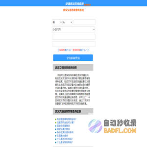 （手机版）武汉交通违章查询-武汉违章查询网