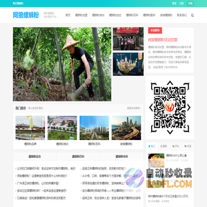 广西柳州螺蛳粉培训加盟_正宗柳州袋装螺蛳粉批发-网狼螺当家螺丝粉学习