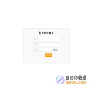 报表系统登录