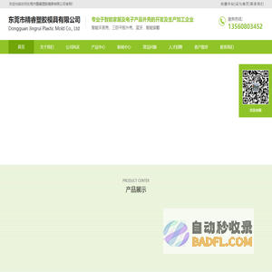 东莞市精睿塑胶模具有限公司