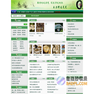 大连佰芝堂生物科技有限公司-野生灵芝网、桑黄、桦褐孔菌、松针层孔菌