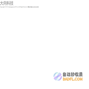 大向科技