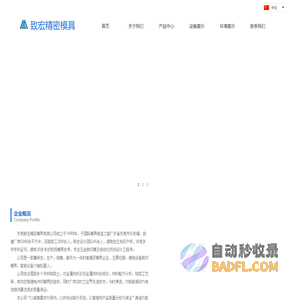 东莞致宏精密模具有限公司