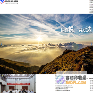上海悦达新实业集团