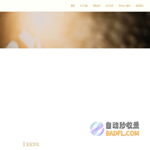 上海艾雷电子商务有限公司