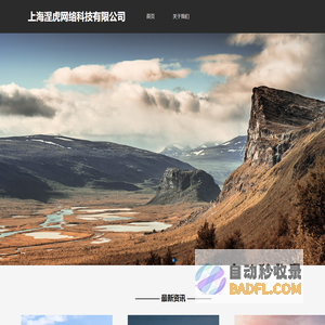 上海涅虎网络科技有限公司