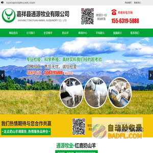 嘉祥县通源牧业有限公司_杜泊绵羊,奶山羊