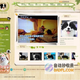 菲凡犬舍-边境牧羊犬_边境牧羊犬价格_边境牧羊犬吧_边境牧羊犬图片