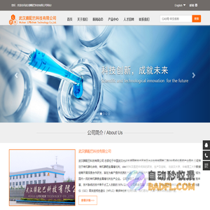 N配体,Pd类催化剂,Ru类催化剂,铜类催化剂,OLED材料,P配体,钯金属催化剂,医药中间体等专业生产厂家_武汉膦配巴科技有限公司